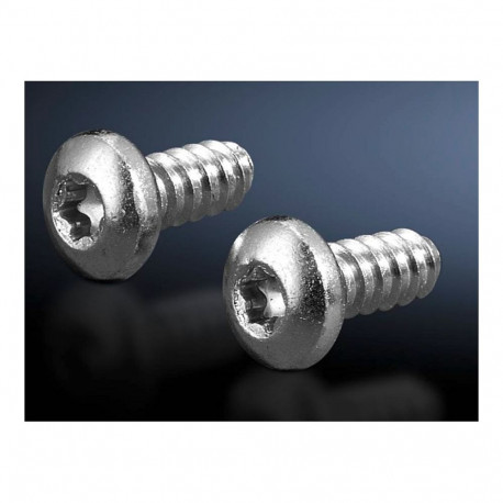 Rittal Torx-plekikruvid tüüp 5,5 L13mm, 300tk