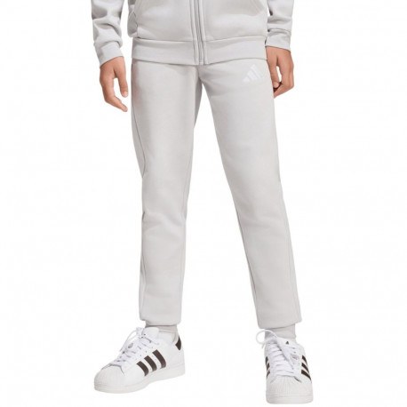 adidas laste dressipüksid Entrada 26 JZ9137 152cm, hallid