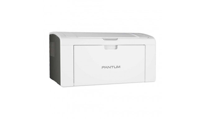 Pantum P2509W