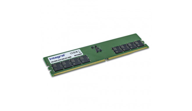 "8GB Integral DIMM 5600MHz (green)"