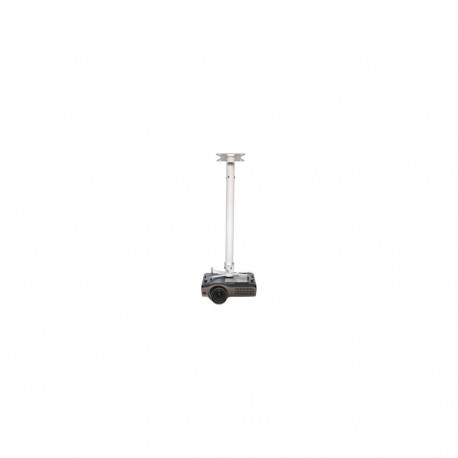 "Vision Display Mount TM-1200, Ceiling, 20 Kg, White"