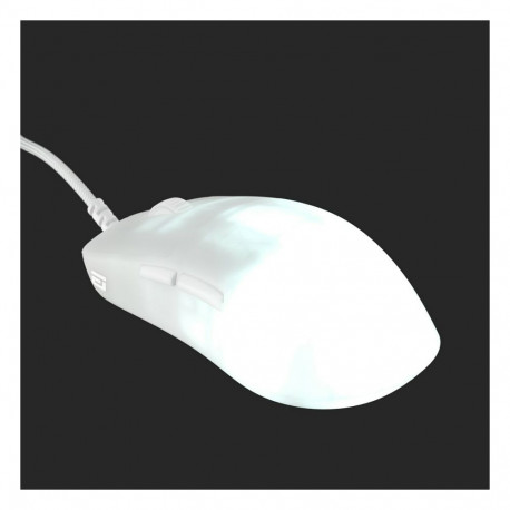 Endgame Gear mängurihiir OP1 RGB, valge härmatis