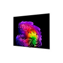 LG OLED65G61LW 4K OLED