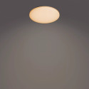 Philips Functional Izso Ceiling Light 40 W