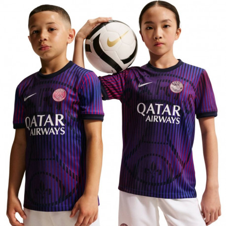 Nike laste T-särk Paris Saint-Germain IQ6946 420 L, lilla