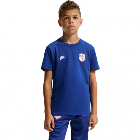 Nike laste jalgpallisärk Chelsea FC Premier IQ5003 495 L, sinine