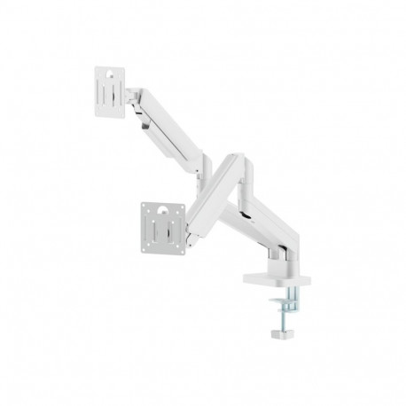 GEMBIRD Desk mounted adjustable double monitor arm 17-32inch White