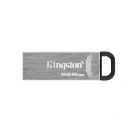 Kingston MEMORY DRIVE FLASH USB3.2/256GB DTKN/256GB