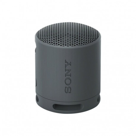 Sony SRS-XB100 Portable Wireless Speaker Black