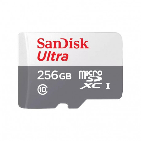 SANDISK BY WESTERN DIGITAL MEMORY MICRO SDXC 256GB UHS-I/SDSQUNR-256G-GN3MN SANDISK