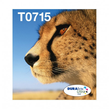 Epson T071 must, tsüaan, magenta, kollane 23.9ml