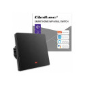 Smart Light switch WiFi 1Gang Timer Tuya