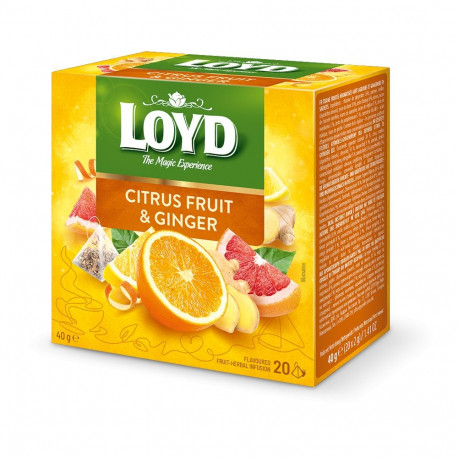 Tee LOYD ingveri- ja tsitrusemaitseline 20 x 2g