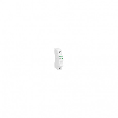 "GS Automat B 16A 1-polig R9F23116 ** Resi9"