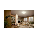VALEN CL650 AIO RD B 32W laevalgusti