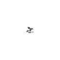 Celestron Starpointer red dot finder