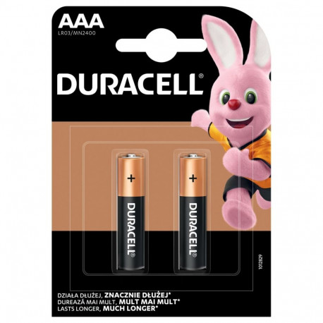 Duracell Basic MN2400 AAA BL2