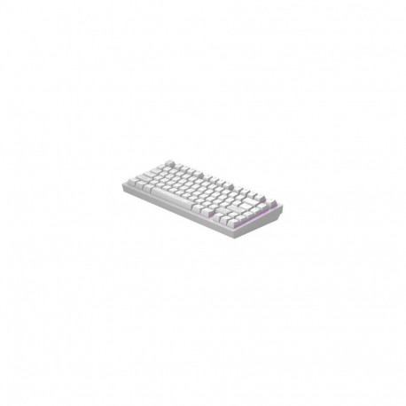 dark project Terra Nostra R2, G3MS Moonstone Switch, US White