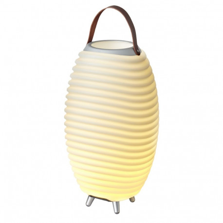 KOODUU Synergy 50 speaker, LED lamp, wine cooler