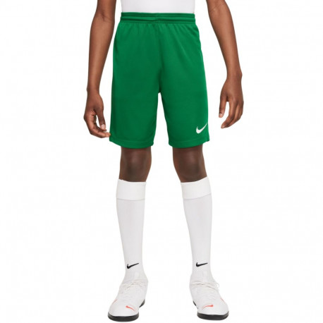 Nike laste lühikesed püksid Dry Park III NB K BV6865 302 L, rohelised