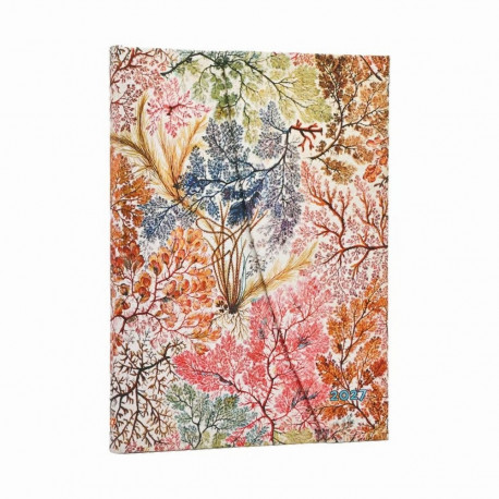 Raamatkalender 2027 Paperblanks Anemone Midi nädal horisontaalne