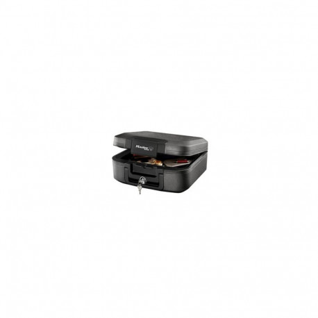 SentrySafe LCHW20101 safe Black, Grey