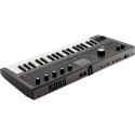 Korg analoogsüntesaator MicroKorg2