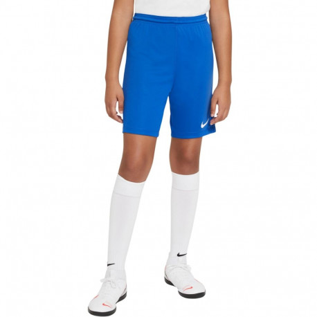 Nike laste lühikesed püksid Dry Park III NB K BV6865 463 M, sinine