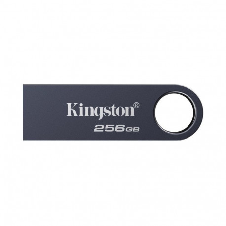 Kingston 256GB DataTraveler SE9 G3