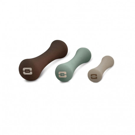 Neoprene dumbbell TOORX Liveness AYP-031 0,5kg