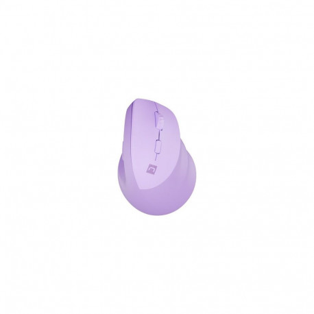 NATEC Crake 2 mouse Universal Right-hand RF Wireless + Bluetooth Optical 2400 DPI
