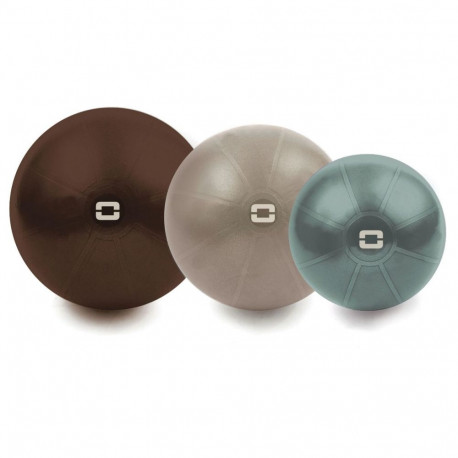Toorx Liveness Gym ball AYP-003 D75cm with pump chocolate