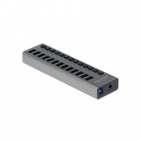 DeLOCK väline USB-jaotur 5Gbps 13 pordiga lülitiga