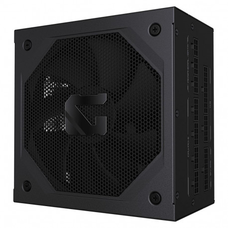 "1000W GIGABYTE GP-GME1000GM"