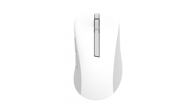 ASUS hiir MD102 universaalne paremakäeline RF- ja Bluetooth-ühendusega optiline 1600 DPI
