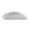 ASUS Wireless MD102 mouse Universal Right-hand RF Wireless + Bluetooth Optical 1600 DPI