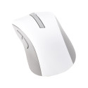 ASUS Wireless MD102 mouse Universal Right-hand RF Wireless + Bluetooth Optical 1600 DPI