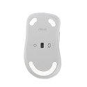 ASUS Wireless MD102 mouse Universal Right-hand RF Wireless + Bluetooth Optical 1600 DPI