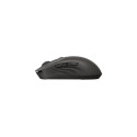 HP 405 Quiet Black Wireless Mouse