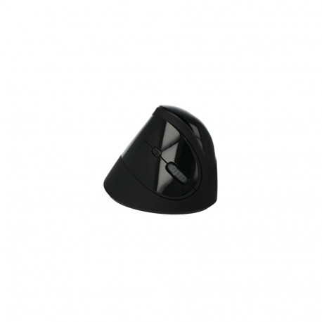 Delock Ergonomic USB Mouse vertical - wireless
