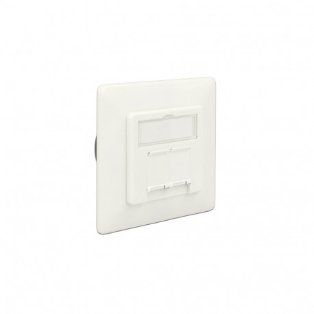 Delock Modular Wall Outlet flush mount 2 Port Cat.6A LSA