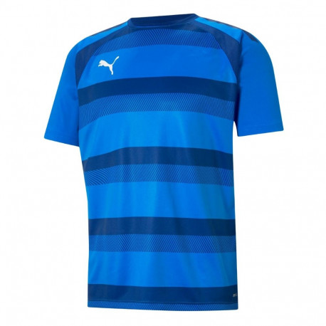 Puma meeste särk teamVISION Jersey 704921 02, sinine