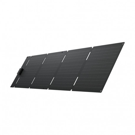 EcoFlow päikesepaneel 60W Type-C