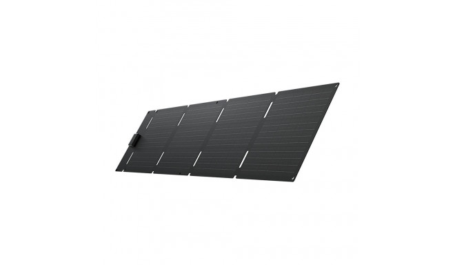 "EcoFlow 60W - Solar Panel Type-C"