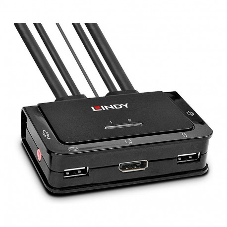"2 Port DisplayPort 1.2, USB 2.0 & Audio Cable KVM Switch (schwarz)"