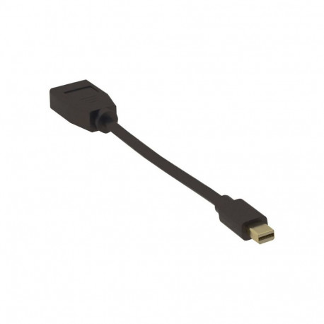 4K Mini DisplayPort – DP M-F