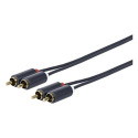 "2 X RCA - 2 X RCA M-M"