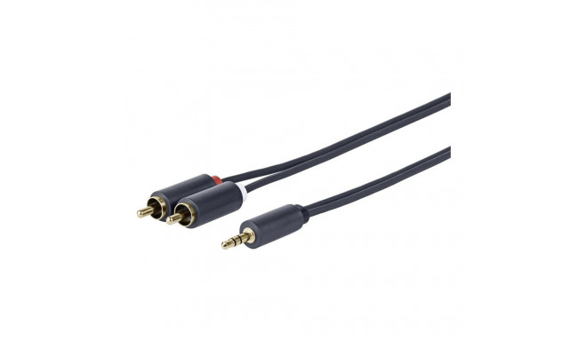 "3.5MM - 2 X RCA M-M"