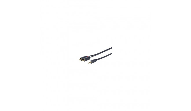 "3.5MM - 2 X RCA M-M"