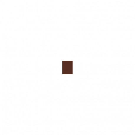 Inebrya Color (100ml) (5/5 Light Chestnut Mahogany)